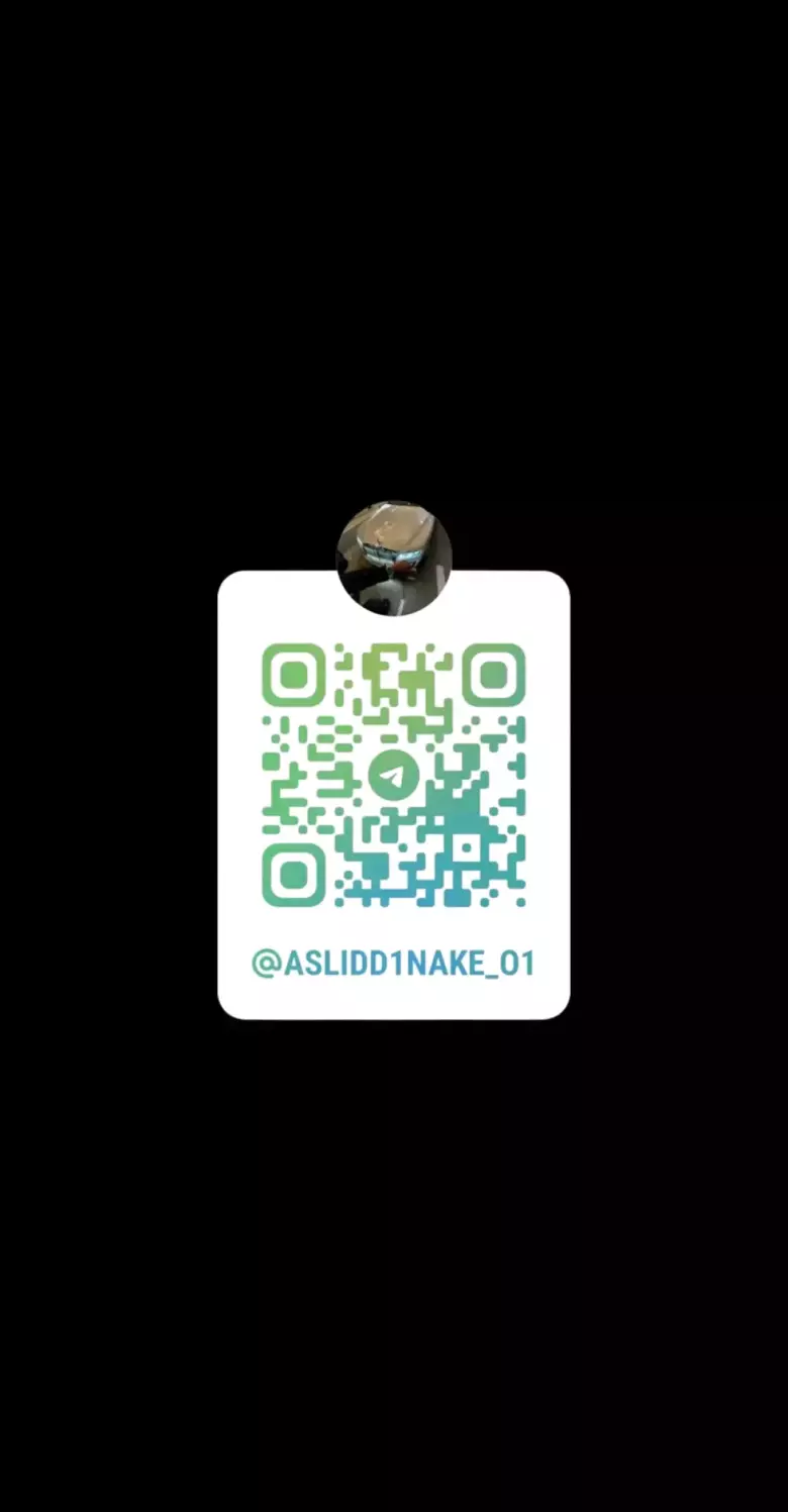 Telegram bot + Veb-sayt yaratish | 7 kunda tayyor | 1.5 mln dan