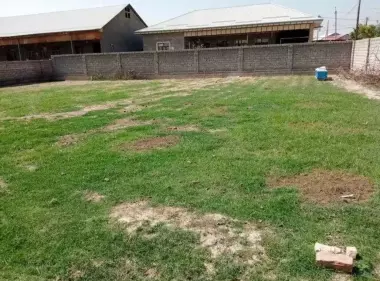 Mirzo Ulug’bek tumani, Alisher obod mahallasi, Jasorat ko’chasi yer sotiladi