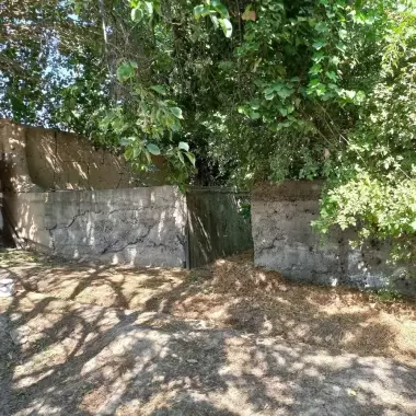 POBEDADA (SHAMSIOBOD ARKA) MAHALLA. MEVALI DARAXTLARI BOR