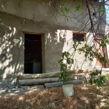 POBEDADA (SHAMSIOBOD ARKA) MAHALLA. MEVALI DARAXTLARI BOR