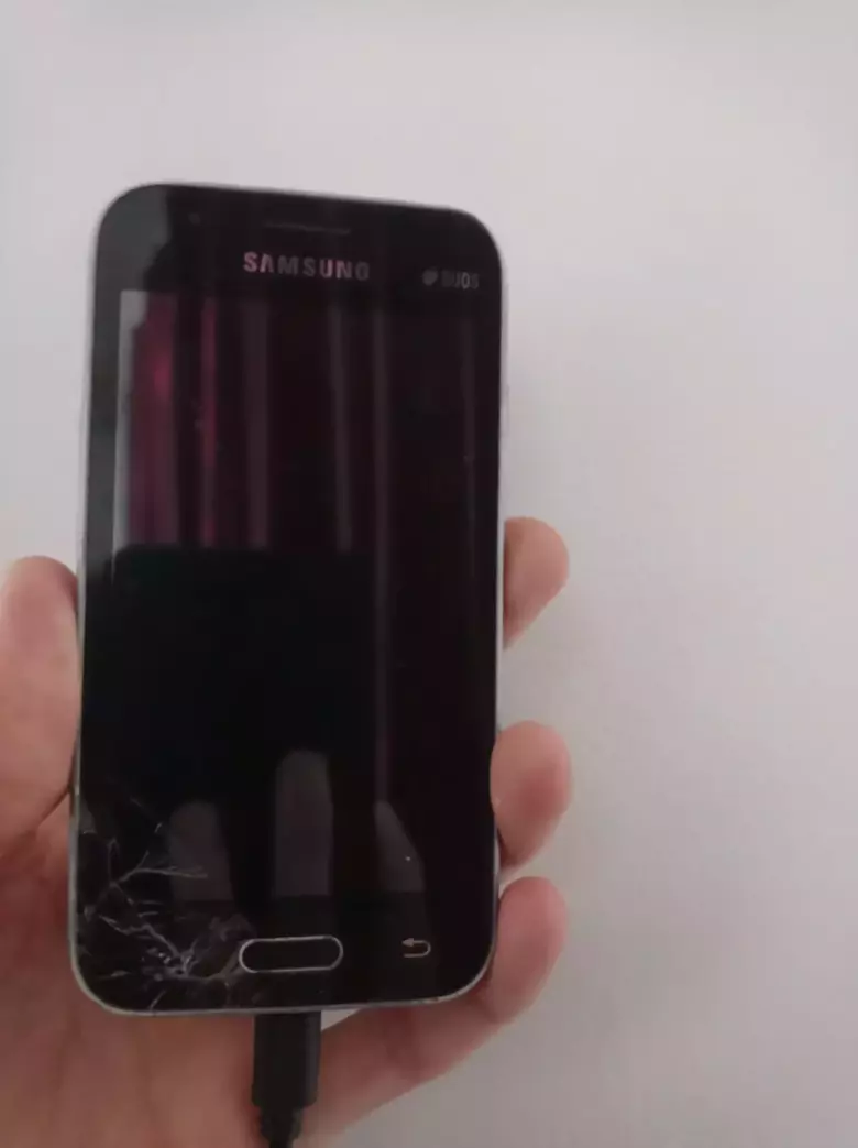 Samsung Galaxy J1 mini : 2 sim