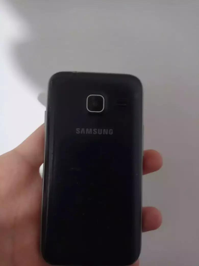 Samsung Galaxy J1 mini : 2 sim