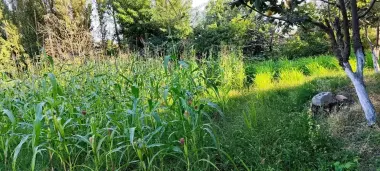 Продаётся участок на продажу