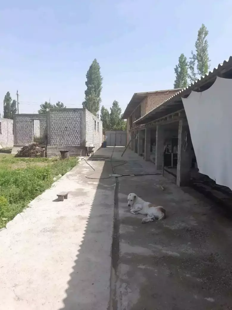участка +мини ферма сотувда