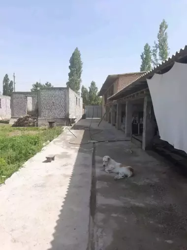 участка +мини ферма сотувда