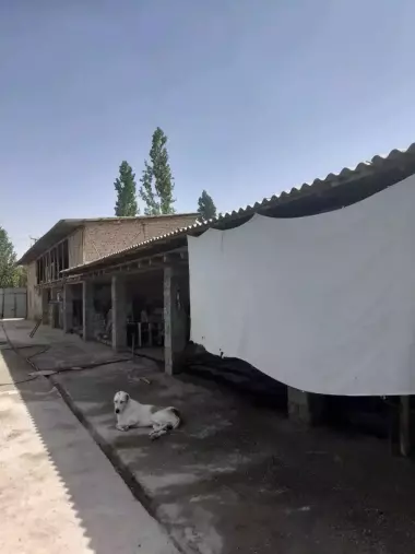 участка +мини ферма сотувда