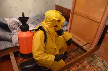 У меня положительный результат а не дешёвая цена