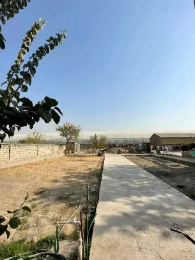 Toshkent viloyati Yuqori Chirchiq tumani Iyk otada 3 xona 8 sotix hovli sotiladi