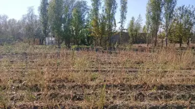 Будунгур туман Гулабод махалласи Девонатепа кишлогида