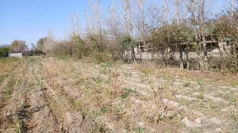 Будунгур туман Гулабод махалласи Девонатепа кишлогида