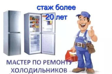 Ремонт холодильников на дому.