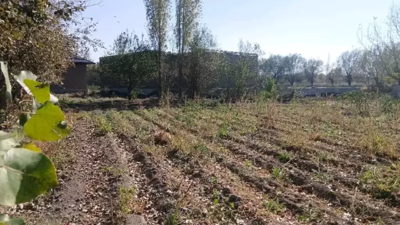 Будунгур туман Гулабод махалласи Девонатепа кишлогида