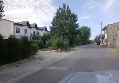 Мирзо Улугбекский район Амир Темур махалля дом угловой фасад 32-метра на 29-метр