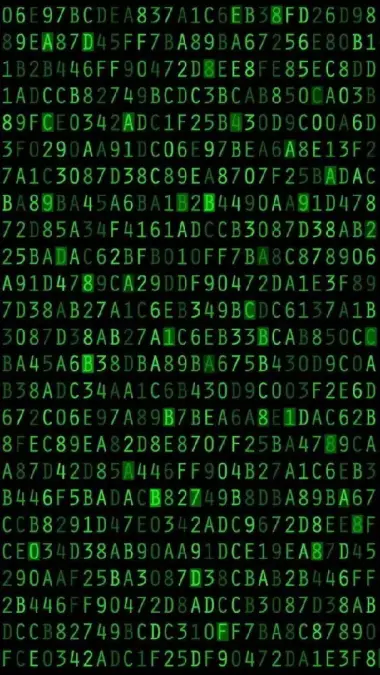 Мобильные приложения, веб сайты, анимация, фото, видео, аудио, 3d