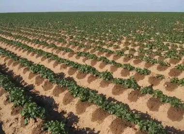 Системы капельного орошения, трубки, шланги, фитинги, насосы и др.