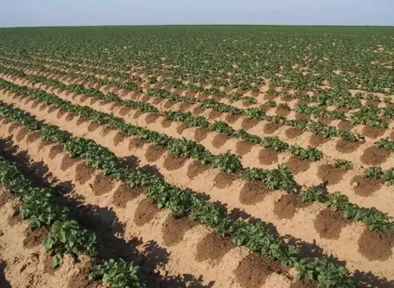 Системы капельного орошения, трубки, шланги, фитинги, насосы и др.