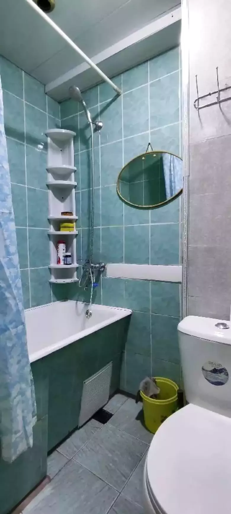 Аренда- долгосрочная Шайхантахурский район, Октепа круг 1-комнатная квартира