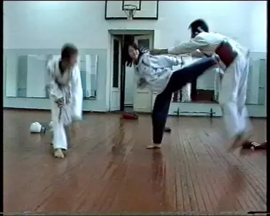 САМООБОРОНА