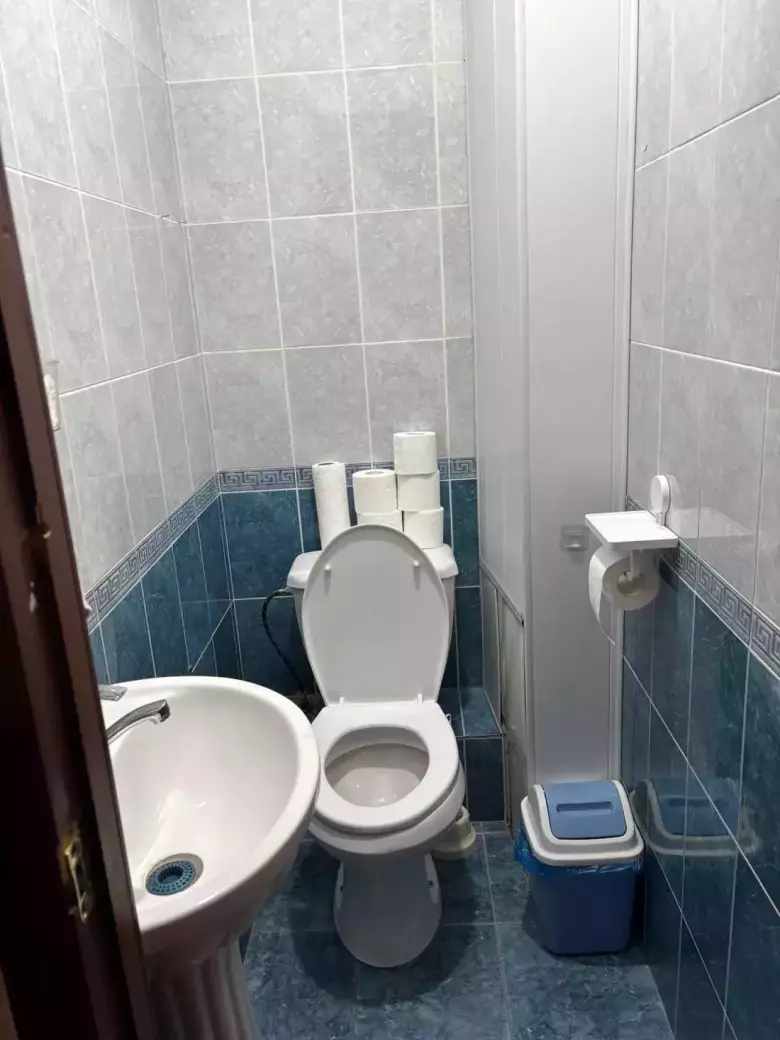 5 комнатная квартира в аренду. Госпитальный