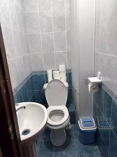 5 комнатная квартира в аренду. Госпитальный