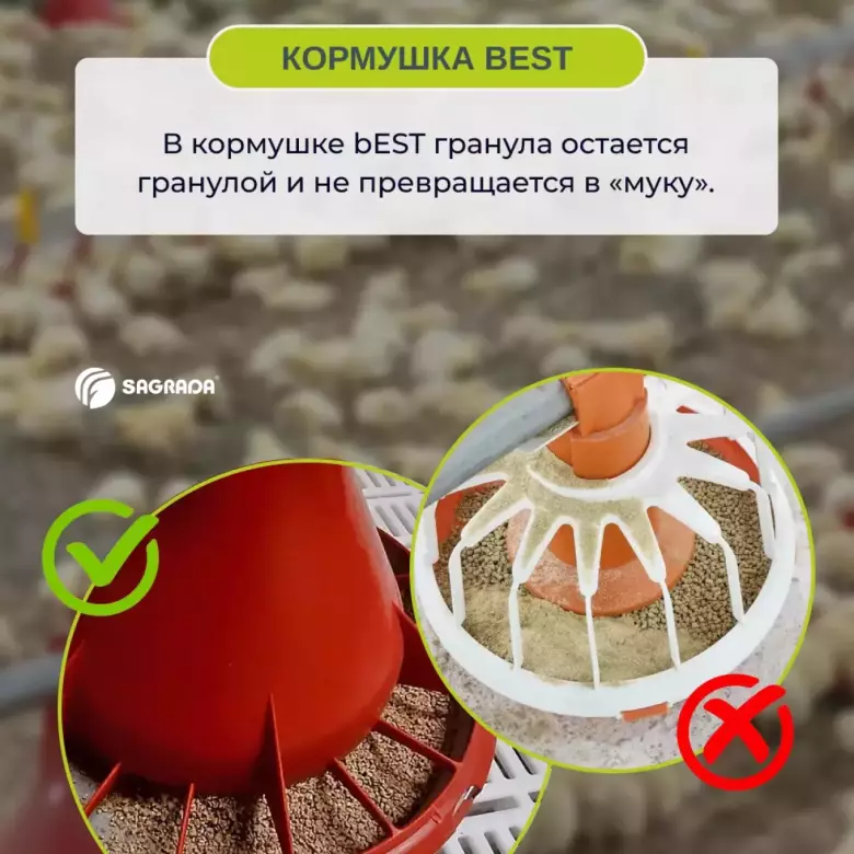 Автоматические кормушки для бройлеров bEST