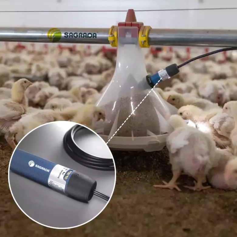 Емкостные датчики DOL для линий кормления бройлеров