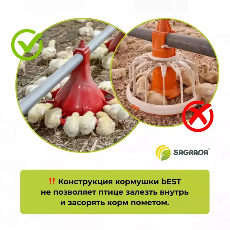 Автоматические кормушки для бройлеров bEST