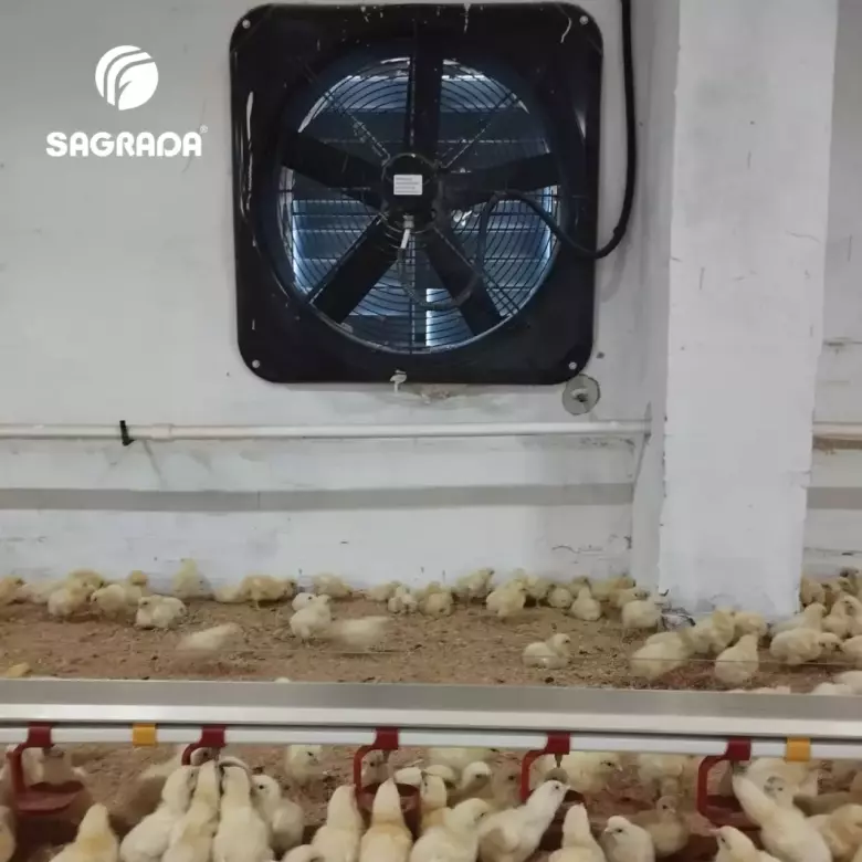 Вентиляторы для бройлеров / Broylerlar uchun ventilyatorlar