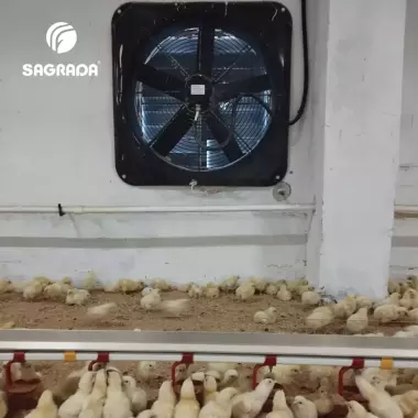 Вентиляторы для бройлеров / Broylerlar uchun ventilyatorlar