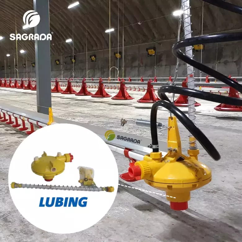 Регуляторы давления воды Lubing для системы поения птицы