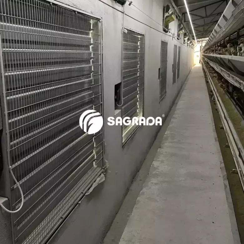 Вентиляционное оборудование с дистанционным управлением для кур-несушек