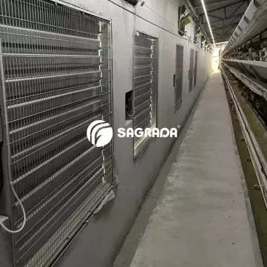 Вентиляционное оборудование с дистанционным управлением для кур-несушек