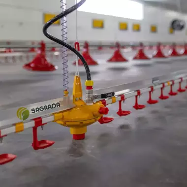 Линии поения для бройлеров / Broylerlar uchun ichimlik liniyalari