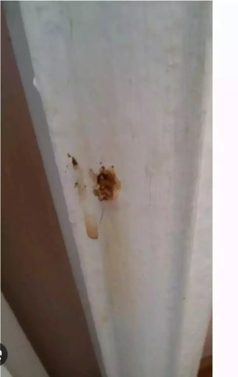 продаю и куплю бу чугунные радиаторы