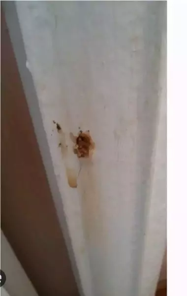 продаю и куплю бу чугунные радиаторы