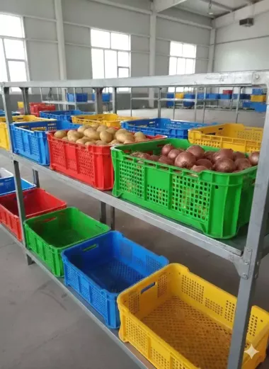 Пищевые пластиковые ящики