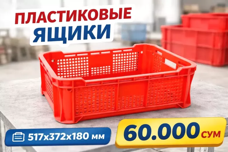 Пищевые пластиковые ящики