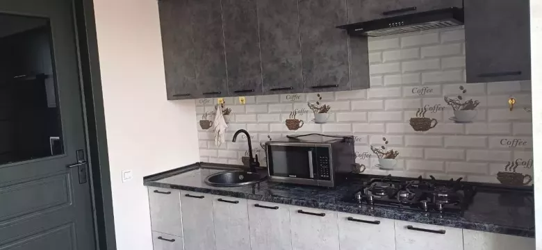 Сдаю новостройку 2/8/10 улПаркентская