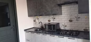 Сдаю новостройку 2/8/10 улПаркентская