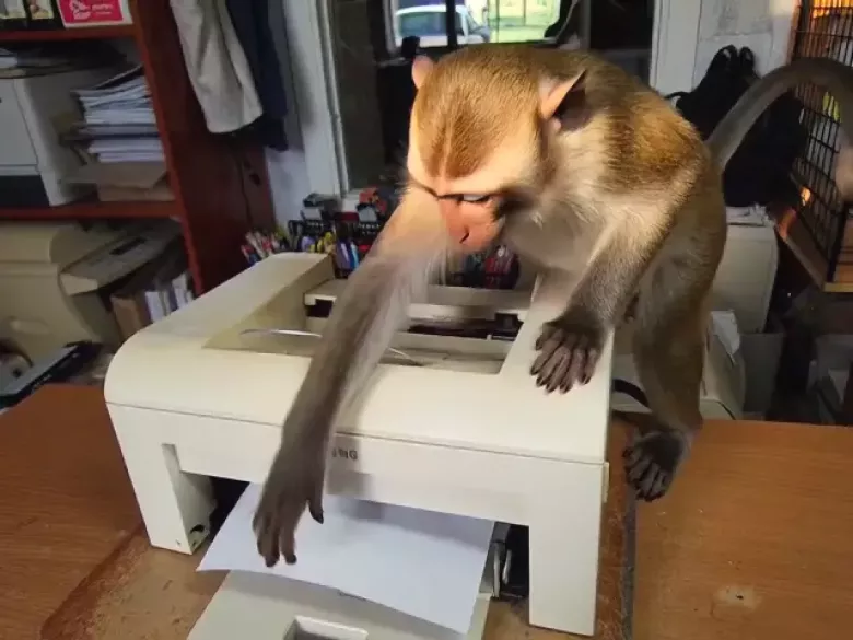 Принтер лазерный Samsung ml 1615