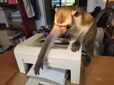 Принтер лазерный Samsung ml 1615