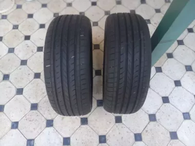 Шины для лассети