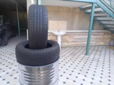 Шины для лассети