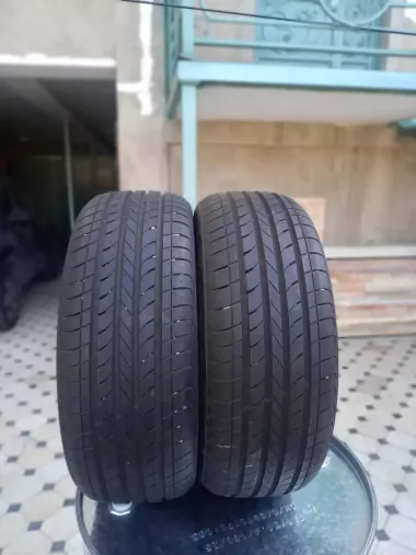 Шины для лассети