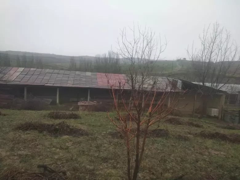 В Курортно-Туристической зоне с шикарным видом на горы. В черте города Паркента.