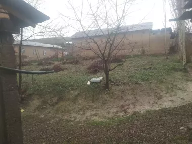 В Курортно-Туристической зоне с шикарным видом на горы. В черте города Паркента.