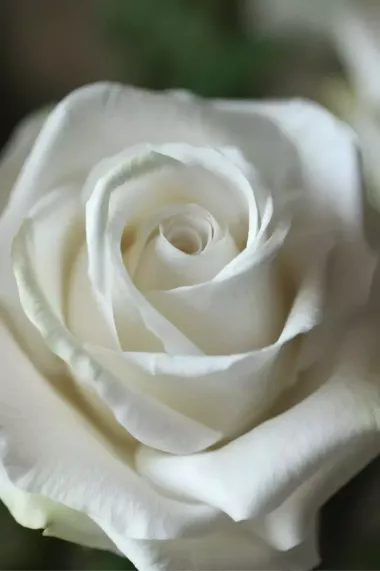 Профессиональный массаж на выезд