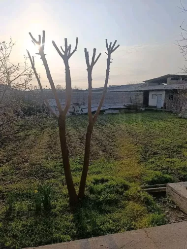 Bektemir tumanida srochna 6.5 sotix yer sotiladi food city, qoyliq bozori 2 km