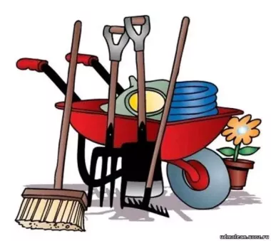 уборка, территории, огородов,