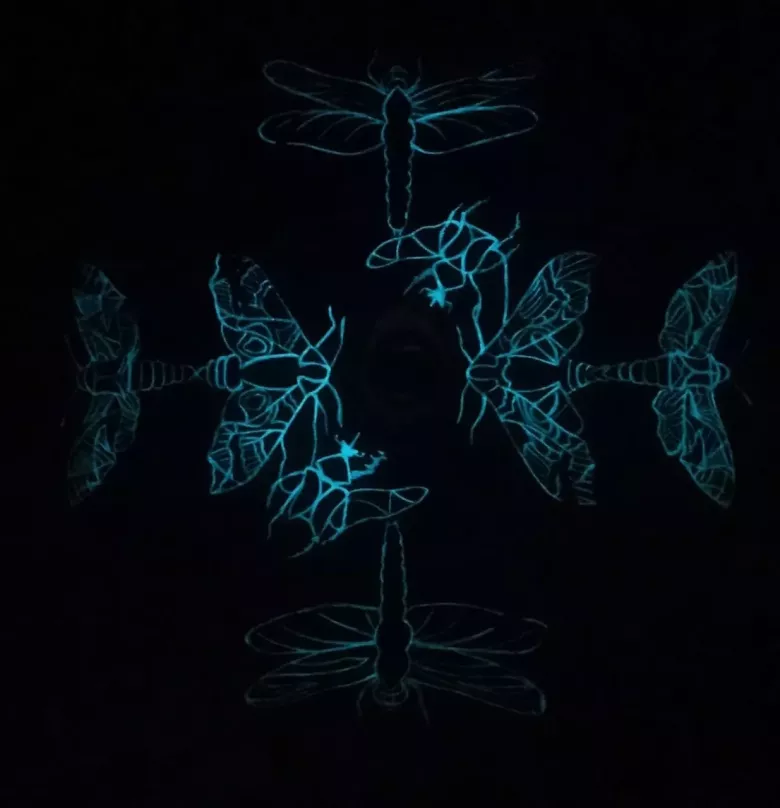 Светящаяся авторская картина "Паутина незримого."